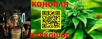 ГАЛЛЮЦИНОГЕННЫЕ ГРИБЫ Будённовск